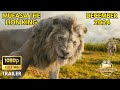 Mufasa The Lion King Trailer 2024 Trailer Binge