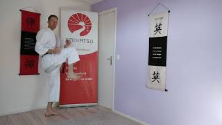 Mae-geri voorwaartse trap