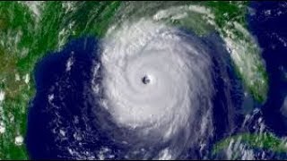 How to Prepare for a Hurricane - (King Turtle)