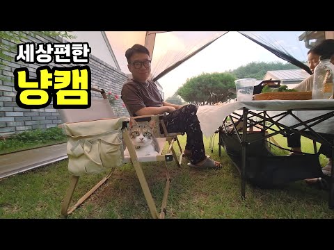 고양이 캠핑 과연 가능할까?