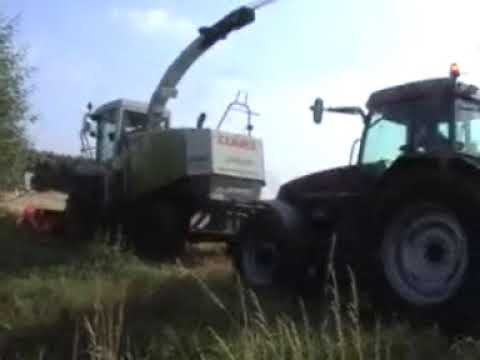 Quintyn: Triticale hakselen.