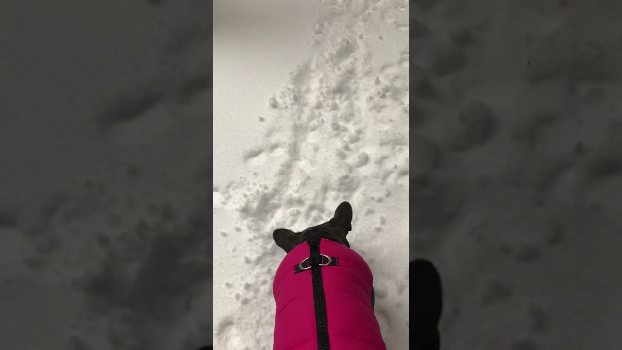 YouTube video preview