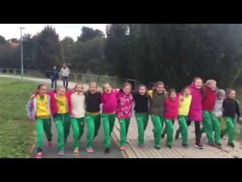 Meccsre készülnek a Csípős Darazsak