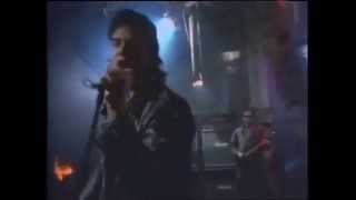 The Angels - Dogs Are Talking (1989)