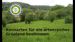 Artenreiches Grünland: ÖR 5 Kennarten suchen mit der FAL-BY App