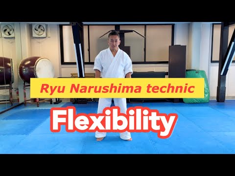 Ryu Narushima Technic “Flexibility” English subtitles version