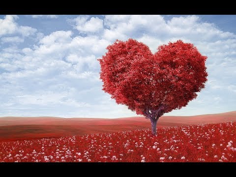 Wunschpartner - Liebesorakel - Neue Liebe - Wie geht es weiter?