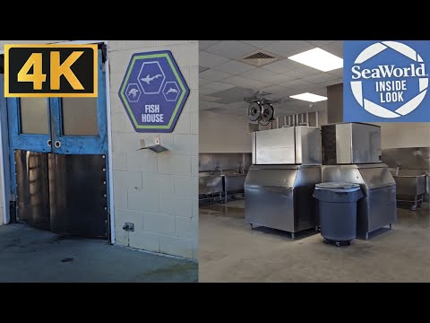Inside Marine Mammal Care (Evento Inside Look - Tour Completo 4K) SeaWorld Orlando - 05 NOV 2023