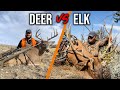 5 Differences Between ELK and DEER Hunting!