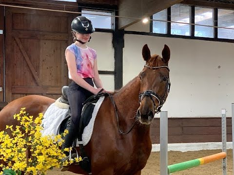 DANIQUE DONNA 5j. v. Dimagico - De Niro