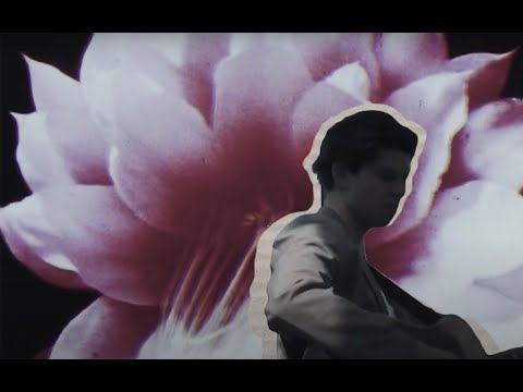 M. BYRD - SEED (Official Lyric Video)