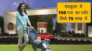  Residential Plot for Sale in Sector 16 Panchkula