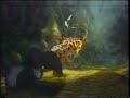 Disney S Tarzan TV Spot Movie Trailer 1999