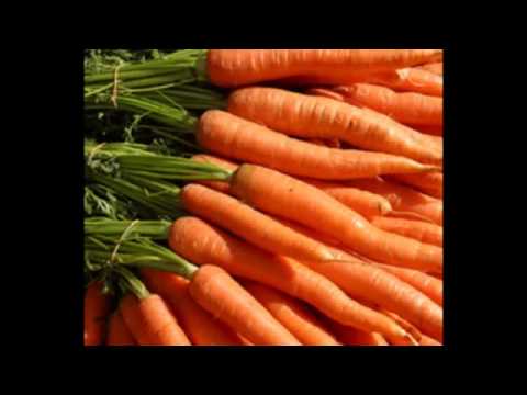 download lagu mp3 mp4 Six Types Of Nutrients, download lagu Six Types Of Nutrients gratis, unduh video klip Six Types Of Nutrients