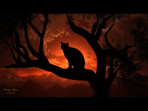 DAZTV Live Stream October Sun Daz Studio Art Creation