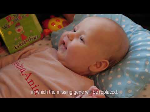 YouTube video preview image