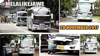 Download lagu NEW!! MELALI KE JAWE, 9 Unit BUS PURNAYASA Tiba di Kota Jakarta - Bus Purnayasa Avante dll mp3 Download lagu NEW!! MELALI KE JAWE, 9 Unit BUS PURNAYASA Tiba di Kota Jakarta - Bus Purnayasa Avante dll mp3