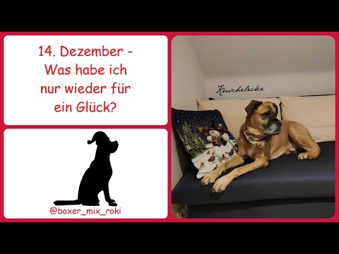 Rokis Adventskalender: 14. Dezember – Was habe ich nur wieder für ein Glück?