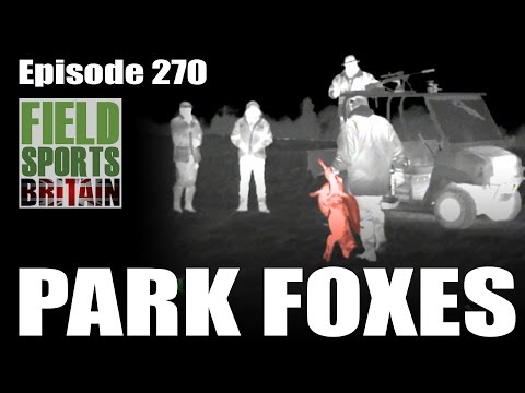 Fieldsports Britain – Park Foxes Fieldsports Britain – Park Foxes