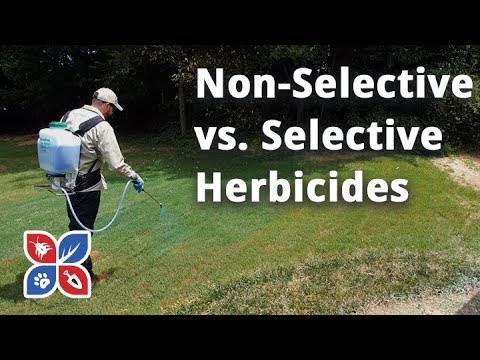  Do My Own Lawn Care - Non-selective v Selective Herbicides Video 