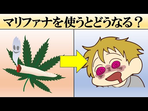 大麻を吸うとどれくらいハイになりますか?研究者は驚くべき答えを発見