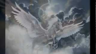 un idiota como yo,,grupo duelo