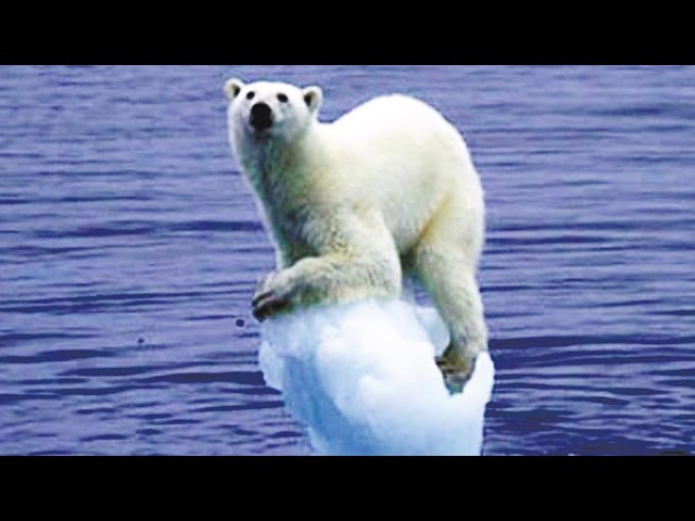 Video Pronunciation of stoeffler in English