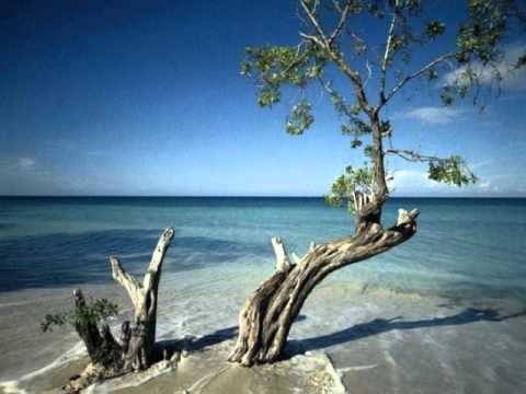 Chitãozinho e Xororó - Planeta Azul