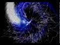 Best 90 Hits: The Nightcrawlers - Surrender Your ...