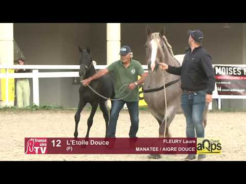 Show AQPS Ouest 2021 - Lot 12