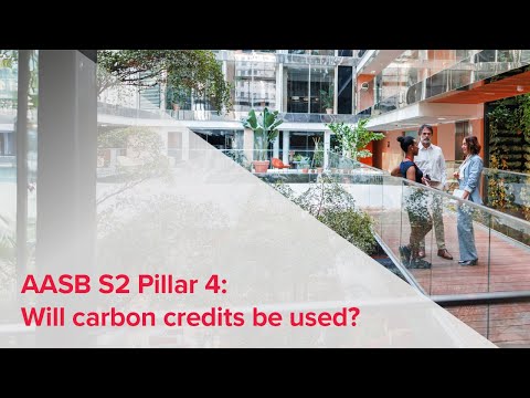Webinar | AASB S2 Pillar 4: Will carbon credits be used?