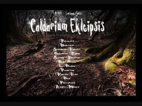 Synthetic Forest Live @ Caldarium Ekleipsis  Swiss December 2017
