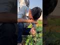 BSc Agriculture Course BSc Agriculture College BSc Agriculture Student Life