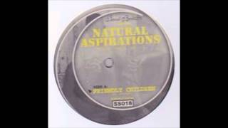 Theo Parrish - Friendly Children (Vinyl Vers. Pt. 1)