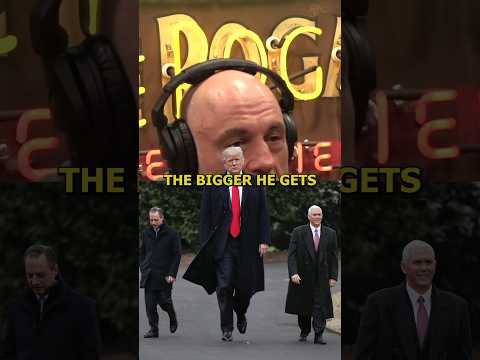 The More They Come After Him The Bigger He Gets - Joe Rogan
