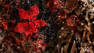 Download lagu Joe Hisaishi 久石譲 - Kimi dake wo Miteita (Just Want to Look at You) mp3