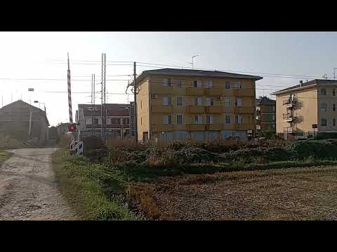 La ferrovia TRA I CAMPI E LE CASE... fate largo al BESTIONE DIRETTO A NOVARA