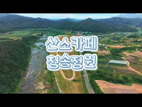 [온통청송] 청송정원 꽃양귀비