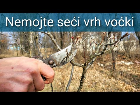 Zimsko orezivanje voca - drugačiji pristup