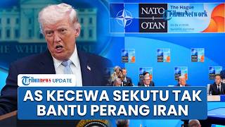 Trump Kecewa NATO dan Sekutu Enggan Bantu Perang Lawan Iran, Kembali Lontarkan Ejekan Macan Kertas