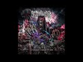 Deconvolution Endless Corruption 2023 Full Album