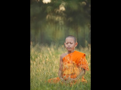 चित्तानुपस्सना Cittanupassana Meditation Instructions on Mindfulness of Mind- Venerable Panna Theri