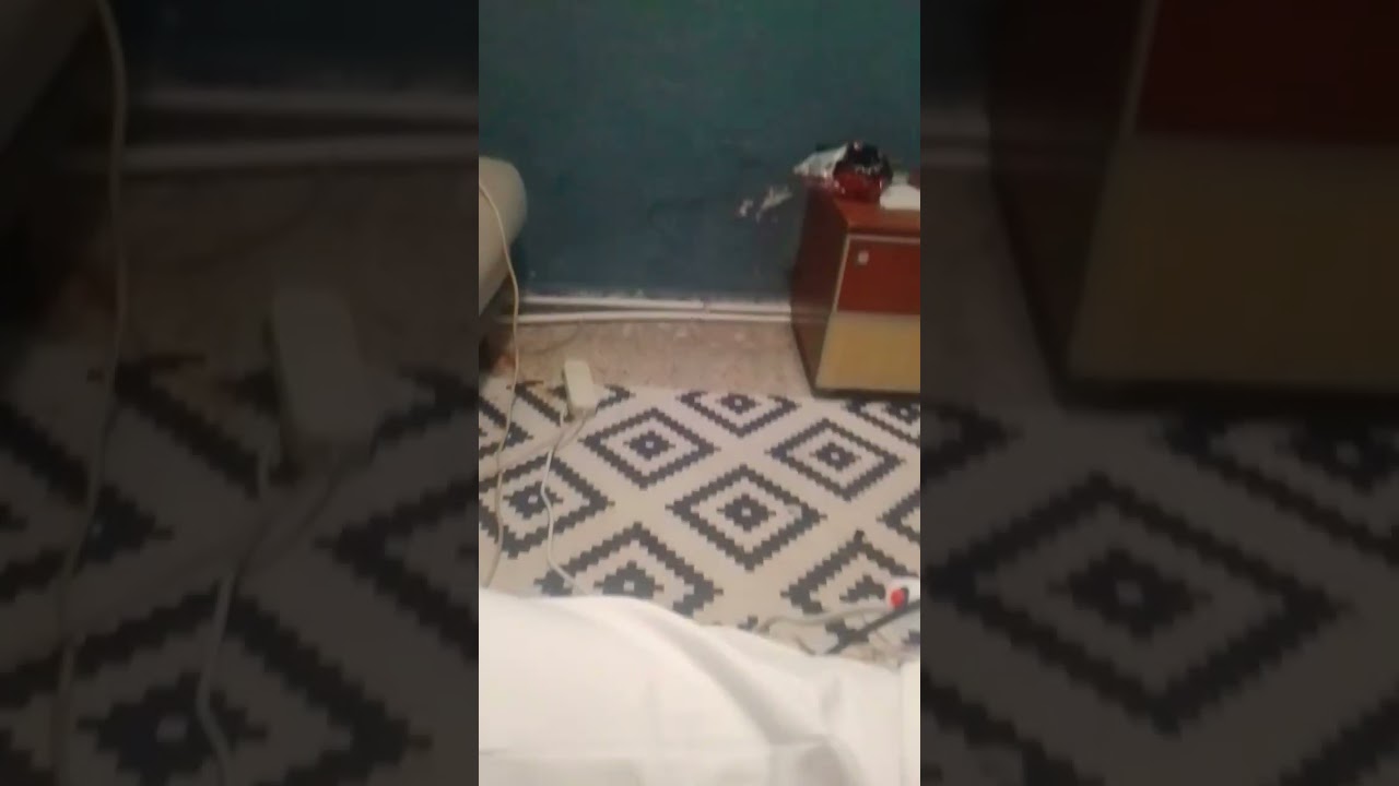 wait no way no wisdom will