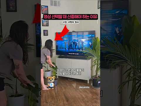 BTS 2.0 뮤비를 틀 때는 신중해야 하는 이유