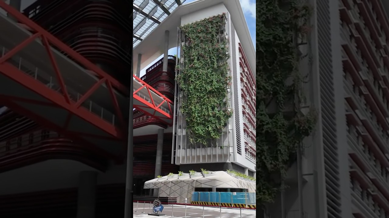 YouTube Short thumbnail