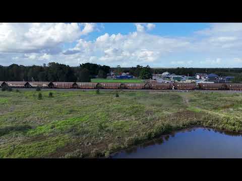Coal trains in the Hunter Valley 