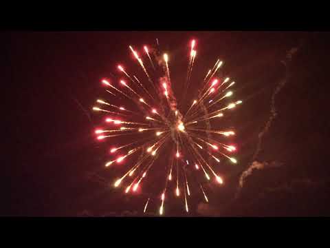 Dominator 1.4 Pro 62mm Variegated Peony Shells