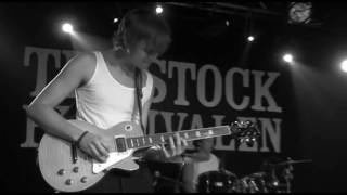 amber oak @ trästock