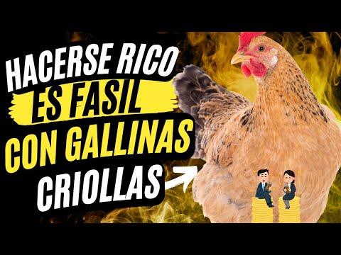 , title : '🐔💰LAS 3 FORMAS DE GANAR DINERO con gallinas criollas🐔💰 NEGOCIO RENTABLE INVIERTE  DINERO'
