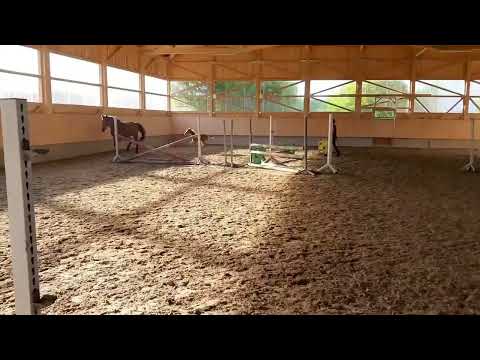 SF v. Bakar x Lancer II/ Carthago